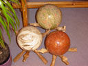 grote-bollen